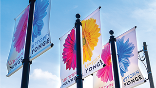 Yonge and Eglinton Flags