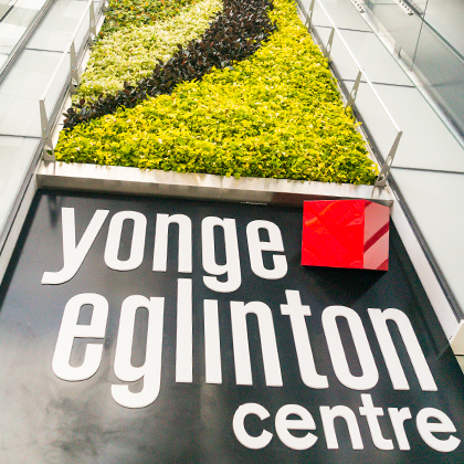 yonge and eglinton rentals